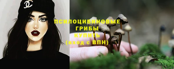 дживик Горно-Алтайск
