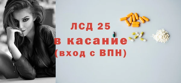 сатива Вяземский