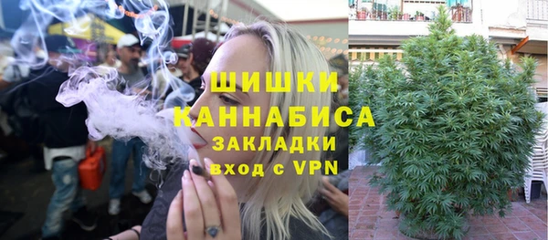 сатива Вяземский