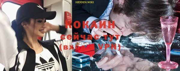 сатива Вяземский