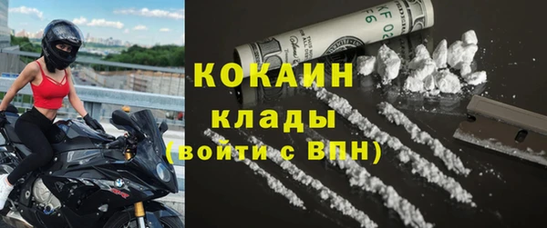 сатива Вяземский