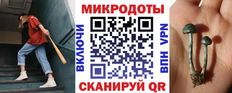 Псилоцибиновые грибы прущие грибы  Прокопьевск 